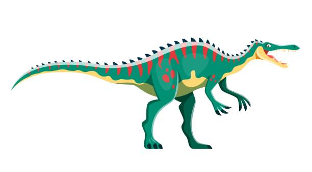 Cartoon Suchomimus dinosaur childish character Cartoon Suchomimus dinosaur character. Ancient wildlife animal or reptile, paleontology raptor or beast vector cute personage. Prehistoric predator lizard, carnivore dinosaur with sharp teeth suchomimus stock illustrations
