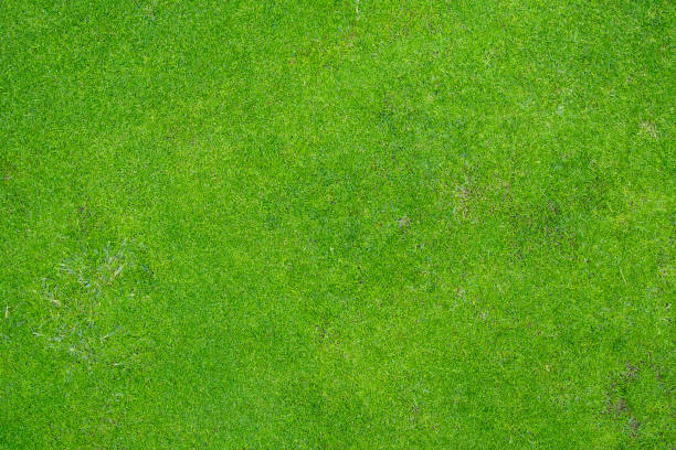 istock Beautifully mowed lawn on golf course 1472233817