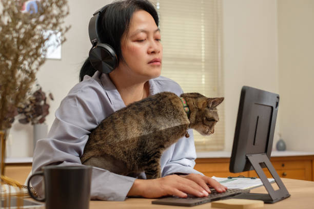 istock asian woman working on tablet computer and hug her cat at home 1472235665