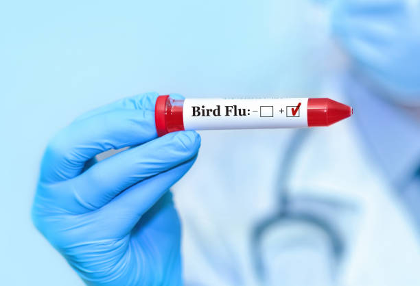 médico sosteniendo una muestra de sangre de prueba de tubo positivo con prueba de gripe aviar. - gripe aviar h5n1 fotografías e imágenes de stock