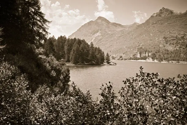 Landscape around Sils Lake in the Upper Engadine valley - Switzerland - Europe