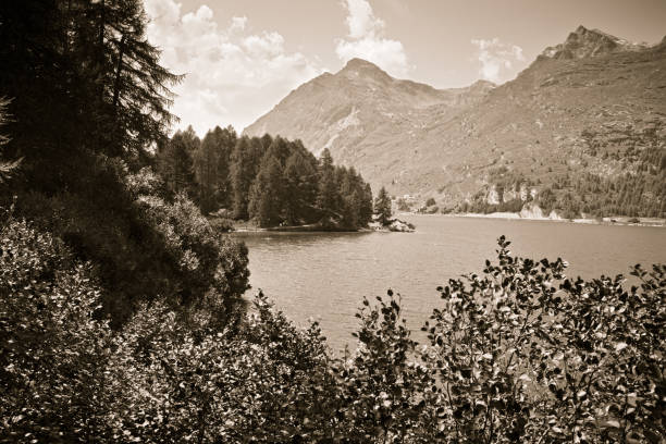 landscape around sils lake in the upper engadine valley - switzerland - europe - corvatsch imagens e fotografias de stock