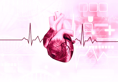 Human heart anatomy with ECG background. 3d illustration