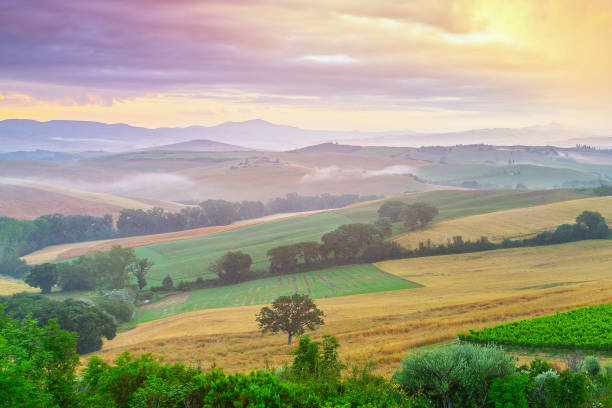 istock Landscape in Tuscany at dawn 1472247509