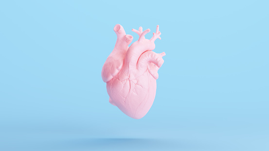 Pink Heart Anatomical Soft Selfcare Healing Kitsch Medical Organ Blue Pastel Background 3d illustration render digital rendering