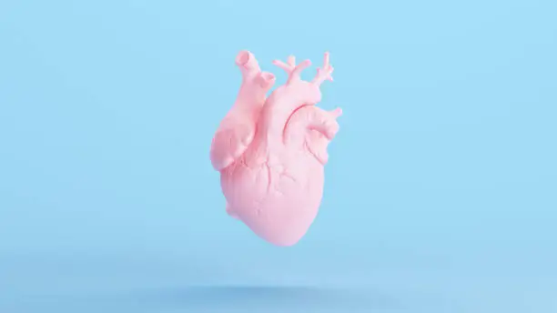 Pink Heart Anatomical Soft Selfcare Healing Kitsch Medical Organ Blue Pastel Background 3d illustration render digital rendering