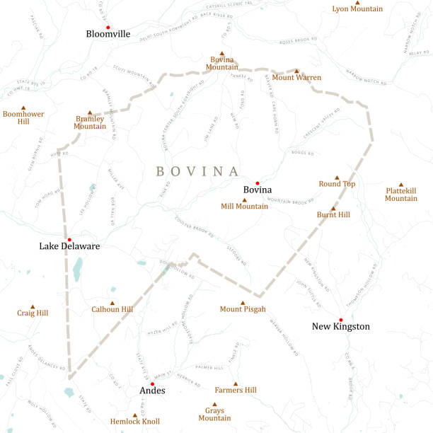 ny delaware bovina vektor straßenkarte - mount pisgah stock-grafiken, -clipart, -cartoons und -symbole