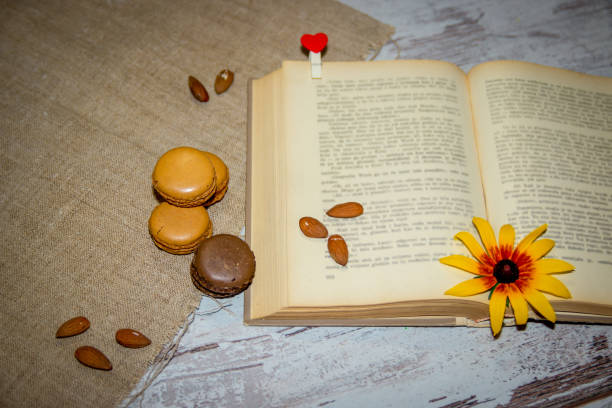 Book.