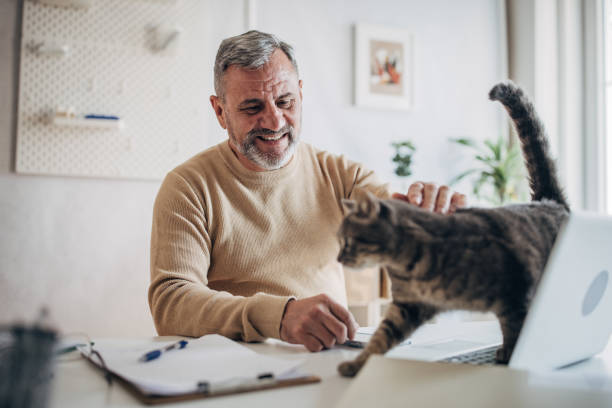 istock A pet cat in the office of an active older man 1472253136