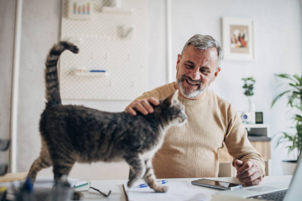 istock A pet cat in the office of an active older man 1472253140