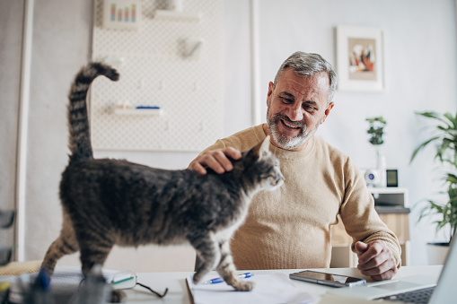 A pet cat in the office of an active older man