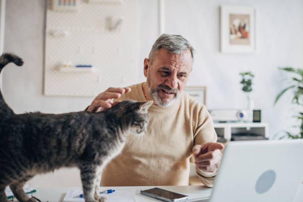 istock A pet cat in the office of an active older man 1472253169