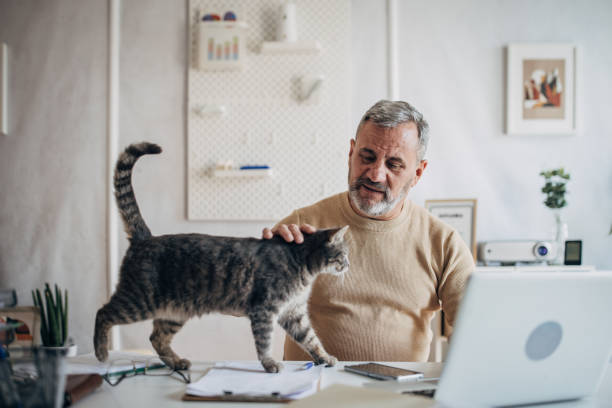 istock A pet cat in the office of an active older man 1472253288