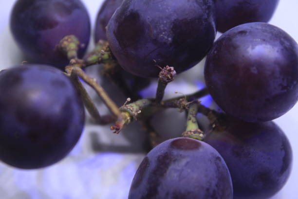 istock purple grapes on a stalk 1472253416
