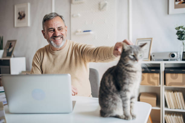 istock A pet cat in the office of an active older man 1472253579