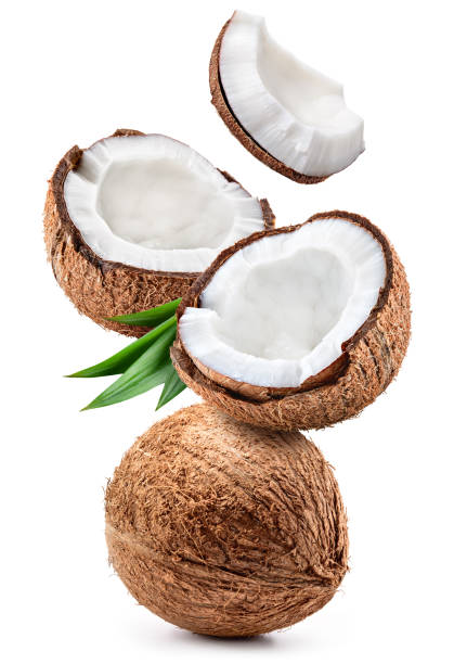 Coconut isolated. Coconut whole, half and piece with leaves on white background. Broken white coco flying. Full depth of field.
