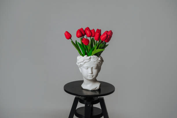 istock a bouquet of red tulips on a white background 1472256234