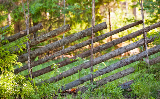 recinzione a hiiumaa - hiiumaa foto e immagini stock