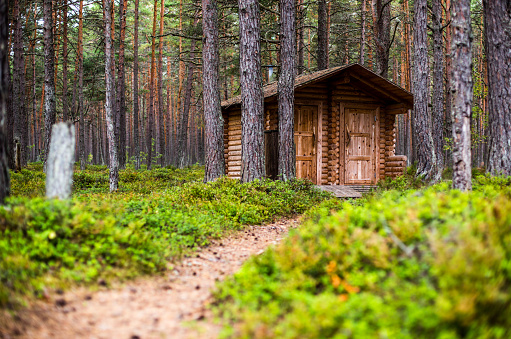 Tiny house in the forest