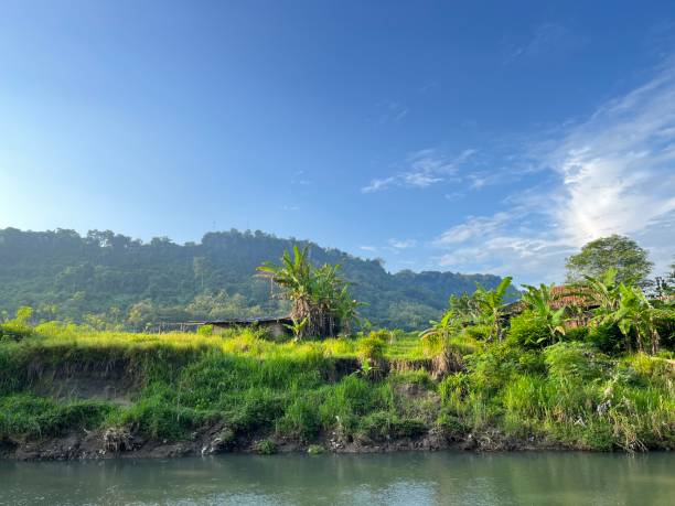 istock Landscape view of river, forest with panoramic mountain 1472260811