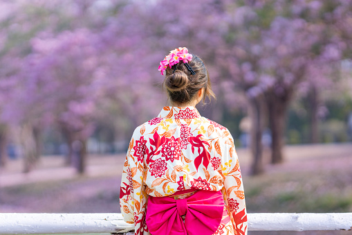 Back of Japanese woman in traditional kimono dress is looking at the view of sakura flower tree in the park at cherry blossom spring festival with copy space