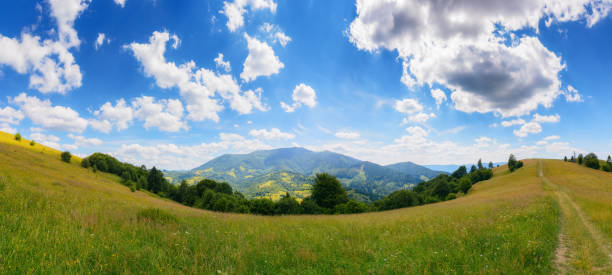 carpathian countryside with grassy meadows. beautiful rolling landscape in summer with stunning sky