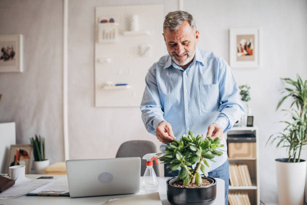 istock Care of house plants, watering 1472270196