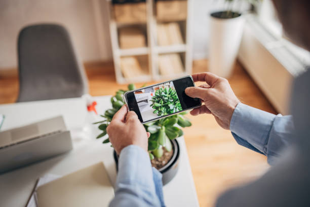 istock photographing houseplants using a mobile phone 1472270990