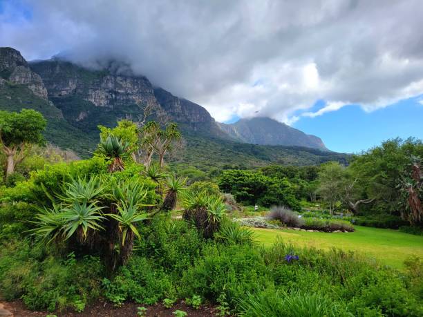 istock Clouds over mountains near Cape Town 1472274668