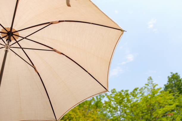 White parasol in the summer sunshine