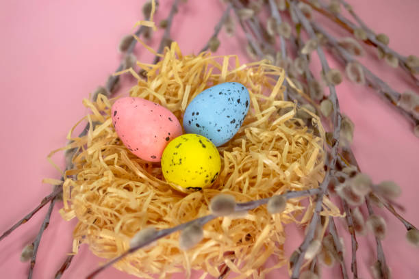 istock Painted eggs in a nest next to willow branches on a pink background. Easter holiday - painted eggs in a nest on branches. Beautiful decor of twigs, nests and coloured eggs. 1472277916