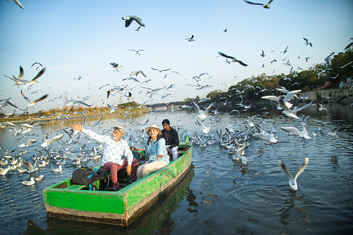 Senior couple tourist traveling on boat at lake with flock of birds in air