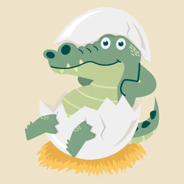 Vector illustration of Cute crocodile in eggshell cartoon