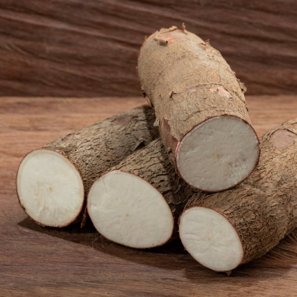 istock Manihot Esculenta - Fresh Organic Cassava Root 1472283692
