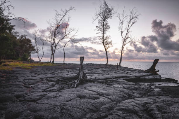 lava fields, ciffs and coast from Big Island