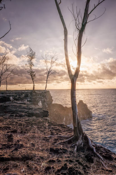 istock HAWAIAN COAST IN LAVA FIELDS AT MORNING 1472285026