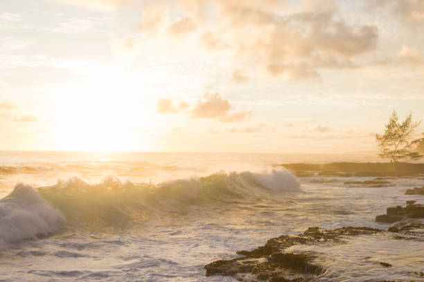 Ocean in the morning, golden sunrise over the Pacific ocean, background with copy space