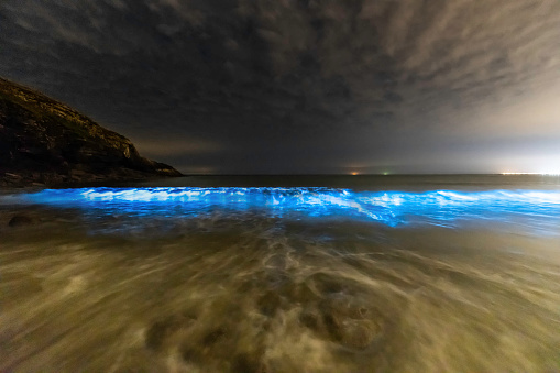 Absolutely stunningly beautiful phenomenon at Dunraven Bay, Southerndown, South Wales. Tiny bioluminescent plankton are reacting to the warm temperature of the water thanks to the prolonged heatwave we've recently enjoyed.