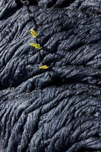 istock Texture of lava fields in big island 1472287791