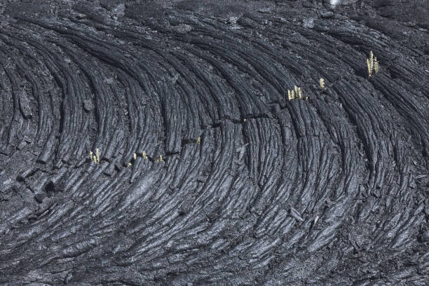 istock Texture of lava fields in big island 1472287811