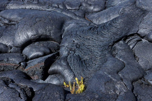 istock Texture of lava fields in big island 1472287819