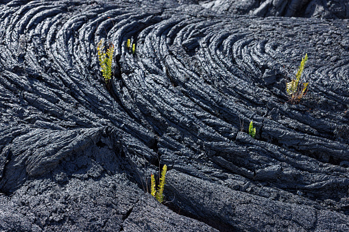 Texture of lava fields in Big Island
