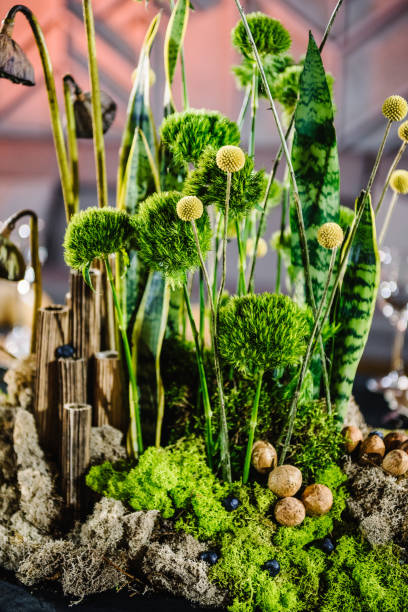 istock Composition of bark tree, wooden decor, moss, flowers, greenery on floor in restaurant. Interior of table for guests with natural decor. Reception. Rustic. Setup. Decorating the holiday. Closeup. 1472288265
