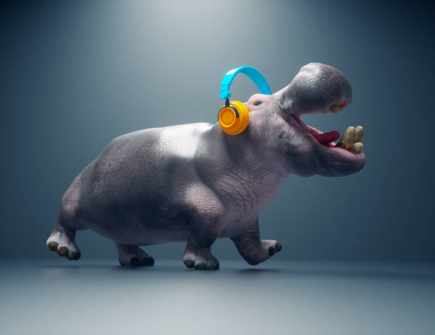 hippopotamus listens to music on headphones. - safari animals audio imagens e fotografias de stock