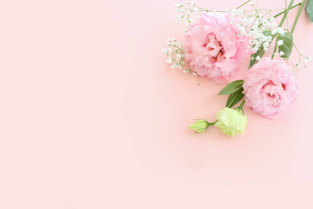 istock Top view image of delicate lisianthus flowers composition over pastel pink background 1472297787