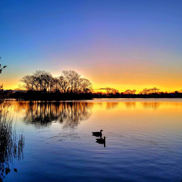istock A calm sunrise on the lake 1472305024