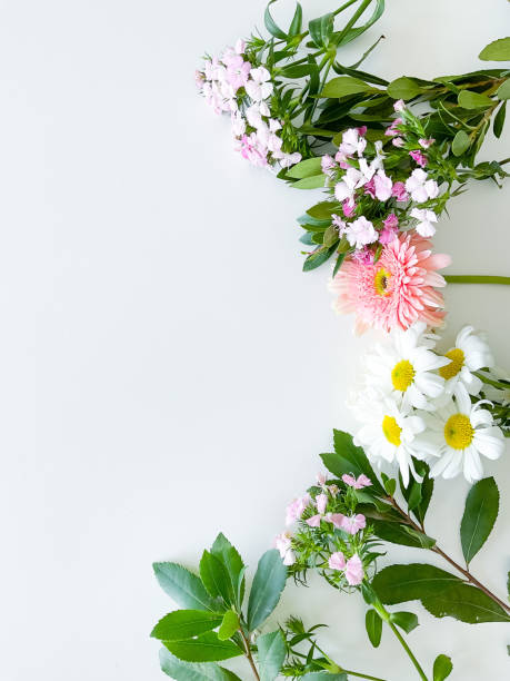 istock japanese dianthus, gerbera, chamomile and laurel 1472305684
