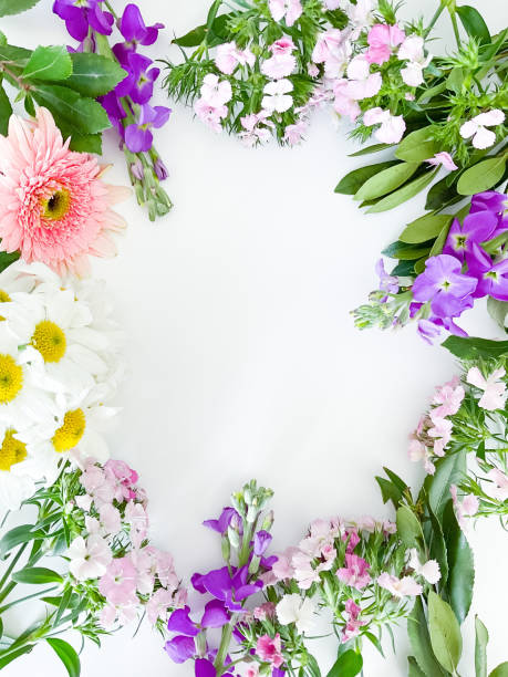 istock dianthus, gerbera, chamomile, laurel. floral frame 1472305695