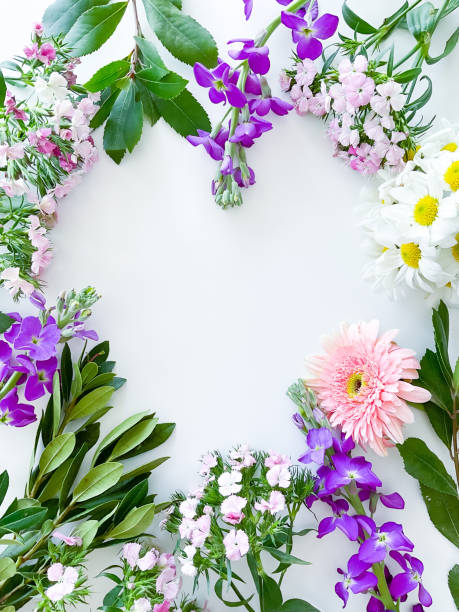 istock dianthus, gerbera, chamomile, laurel. floral frame 1472305700