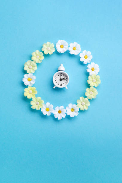 istock White Alarm Clock and Spring Daisy Flowers on Blue Background 1472306046